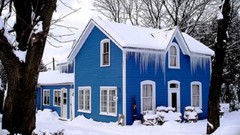 Trees winter blue icicles House architecture