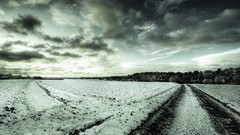 Trees winter clouds grain horizon roads
