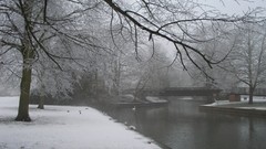 Trees winter monochrome rivers
