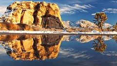 Trees winter water lakes