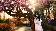 Trees woman asians black hair