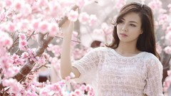 Trees woman asians brunettes vietnamese