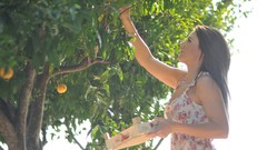 Trees woman brunettes apricots
