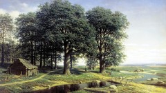 Trees Wood oak scenario