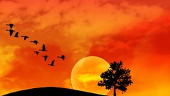 Trees yellow orange abstract silhouettes