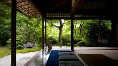 Trees Zen peace Temples relaxation forests