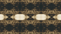 Triage Album Cover Music