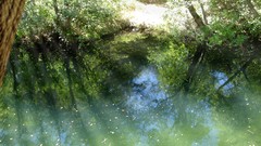 Trippy psychedelic water did