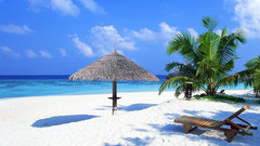 Tropical beach nature