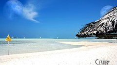 Tropical Sea Beaches