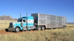 Trucks semi peterbilt vehicles