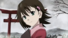 True tears folder severely