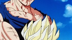 Trunks Dragon Ball Z vegeta