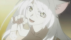 Tsubasa Anime bakemonogatari animal