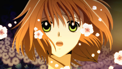 Tsubasa reservoir Chronicle Anime