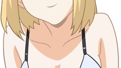 Tsukihime arcueid brunestud anime