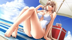 Tsukihime arcueid brunestud type-moon