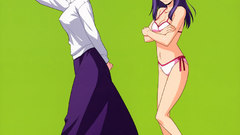 Tsukihime fate stay night