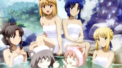 Tsukihime fate stay night