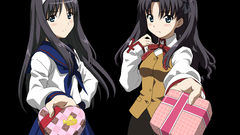 Tsukihime fate Stay night