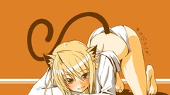 Tsukihime nekomimi animal ears