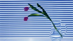 Tulips still life mini blinds