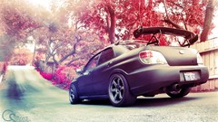Tuning Japan bokeh blossoms subaru impreza subaru impreza wrx 