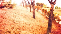 Turkey Ankara webolizma