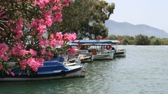 Turkey Dalyan