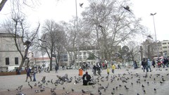 Turkey Istanbul bosphorus mosques