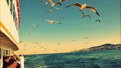 Turkey Istanbul cityscapes