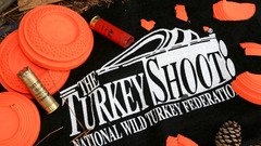 Turkey shoot Print high