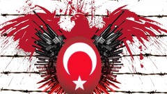 Turkish Armed Forces