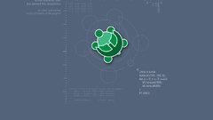 Turtle logo Company
