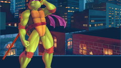 Turtles Donatello TMNT cartoon