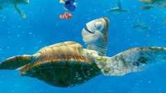 Turtles Finding Nemo