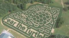 Turtles mazes aerial photography
