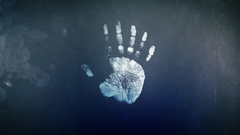 TV hands Fringe fingers