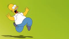 TV Homer Simpson The