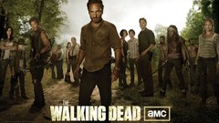 TV shows the walking dead