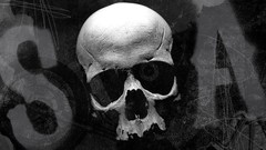 TV skulls sons of anarchy