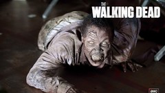 TV the walking dead
