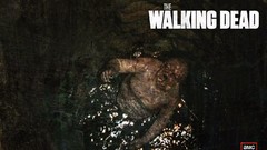 TV the walking dead
