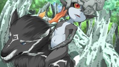 Twilight Princess the legend