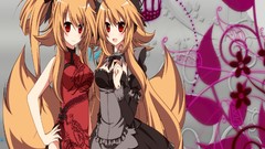Twins anime girls Chinese