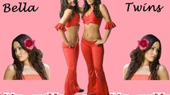 Twins Bella Twins