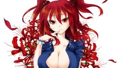 Twintails huge boobs flower