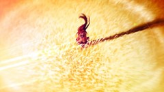 Type-moon artwork mahou tsukai no yoru