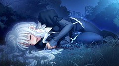 Type-moon fate hollow ataraxia fate series visual novels Caren 