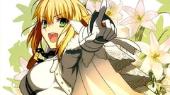 Type-moon fate series Fate/EXTRA Saber Bride